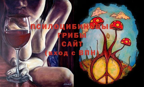 хмурый Пересвет