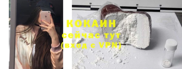 ГАЛЛЮЦИНОГЕННЫЕ ГРИБЫ Абаза