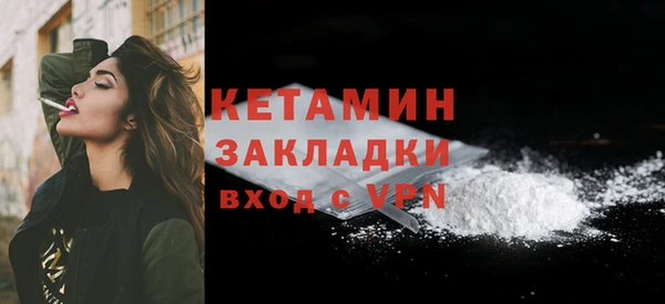 хмурый Пересвет
