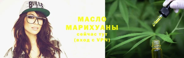 хмурый Пересвет
