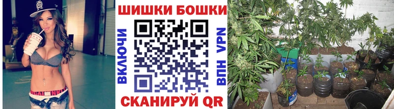 Шишки марихуана ГИДРОПОН  купить наркоту  Отрадный 